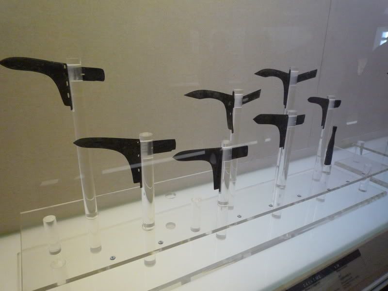 P1000398.jpg