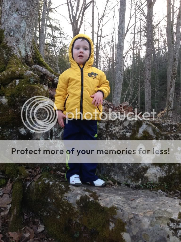 photo4_zpsbecca93d.jpg
