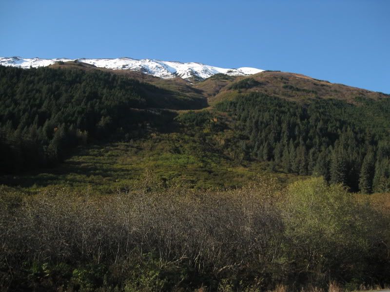 IMG_0684.jpg