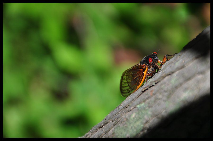 056_018_zps50ef3ffa.jpg