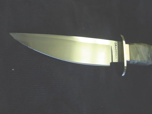 DSC00211-1.jpg