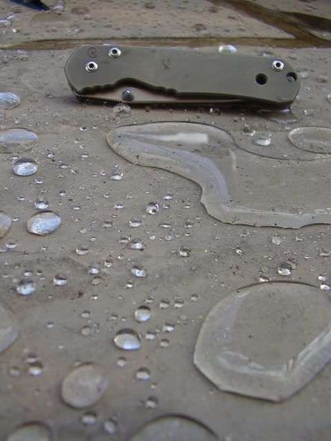 P3110004.jpg