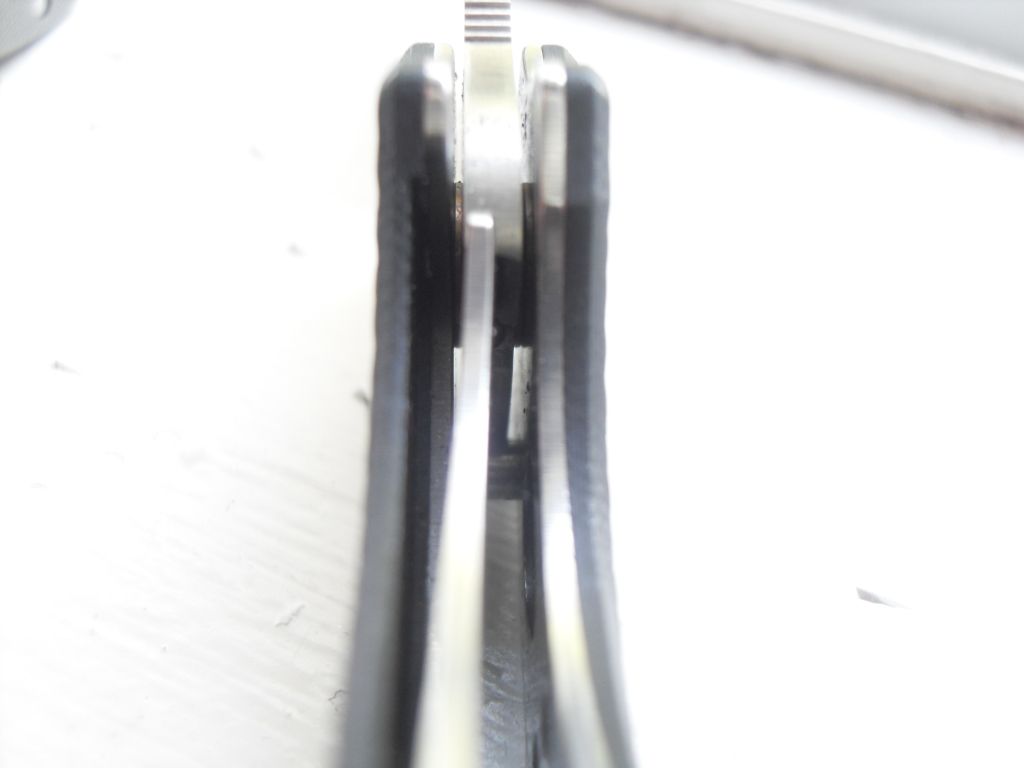 SDC11399.jpg