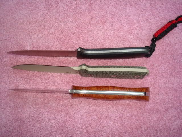 DSC00853.jpg