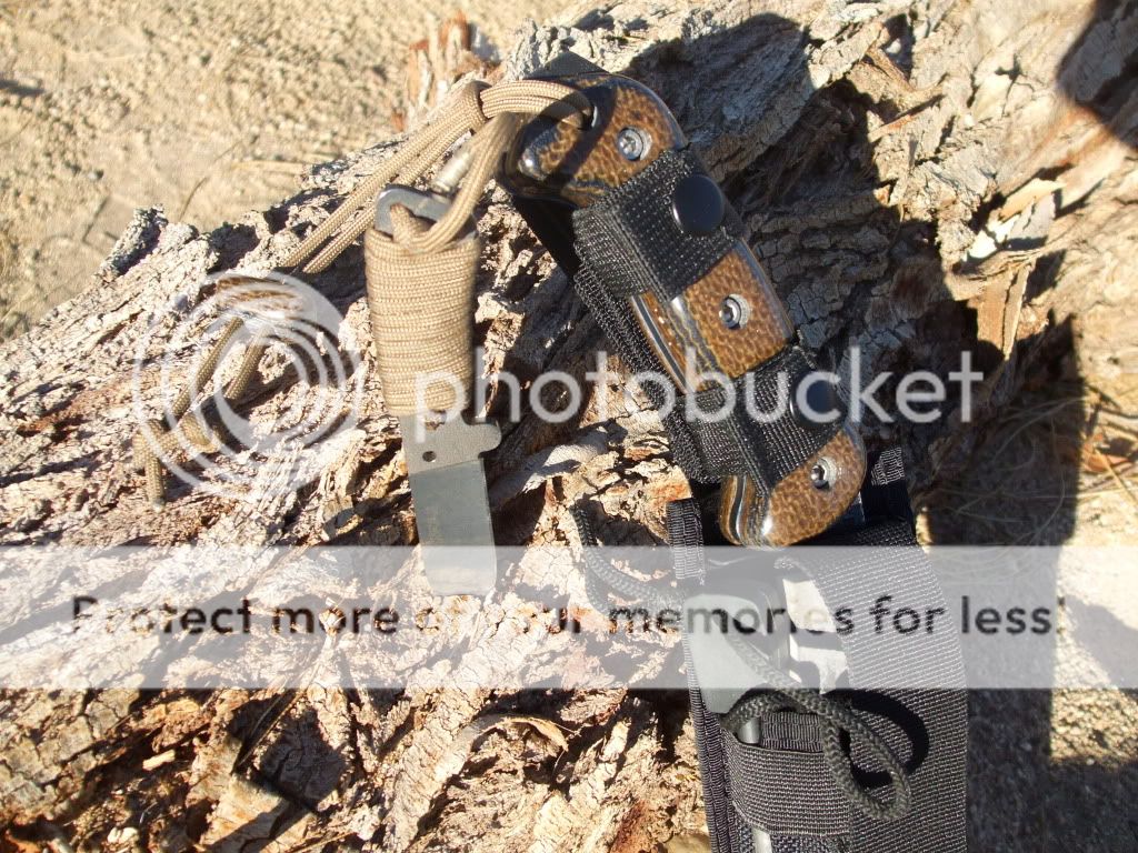 machax047.jpg