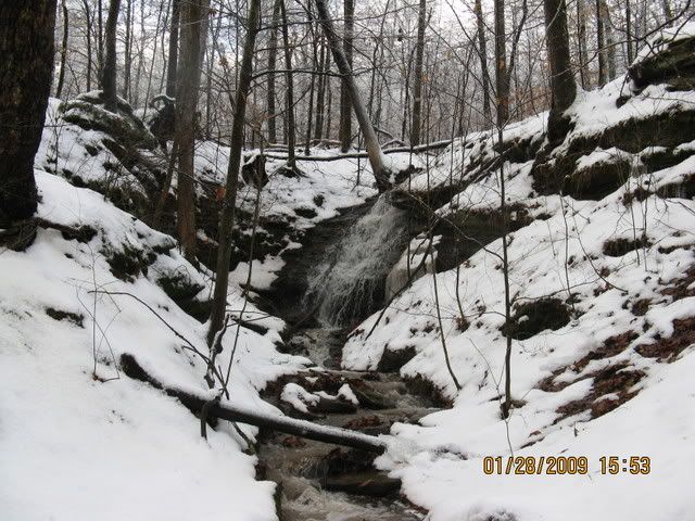 snowdayforthepets088.jpg