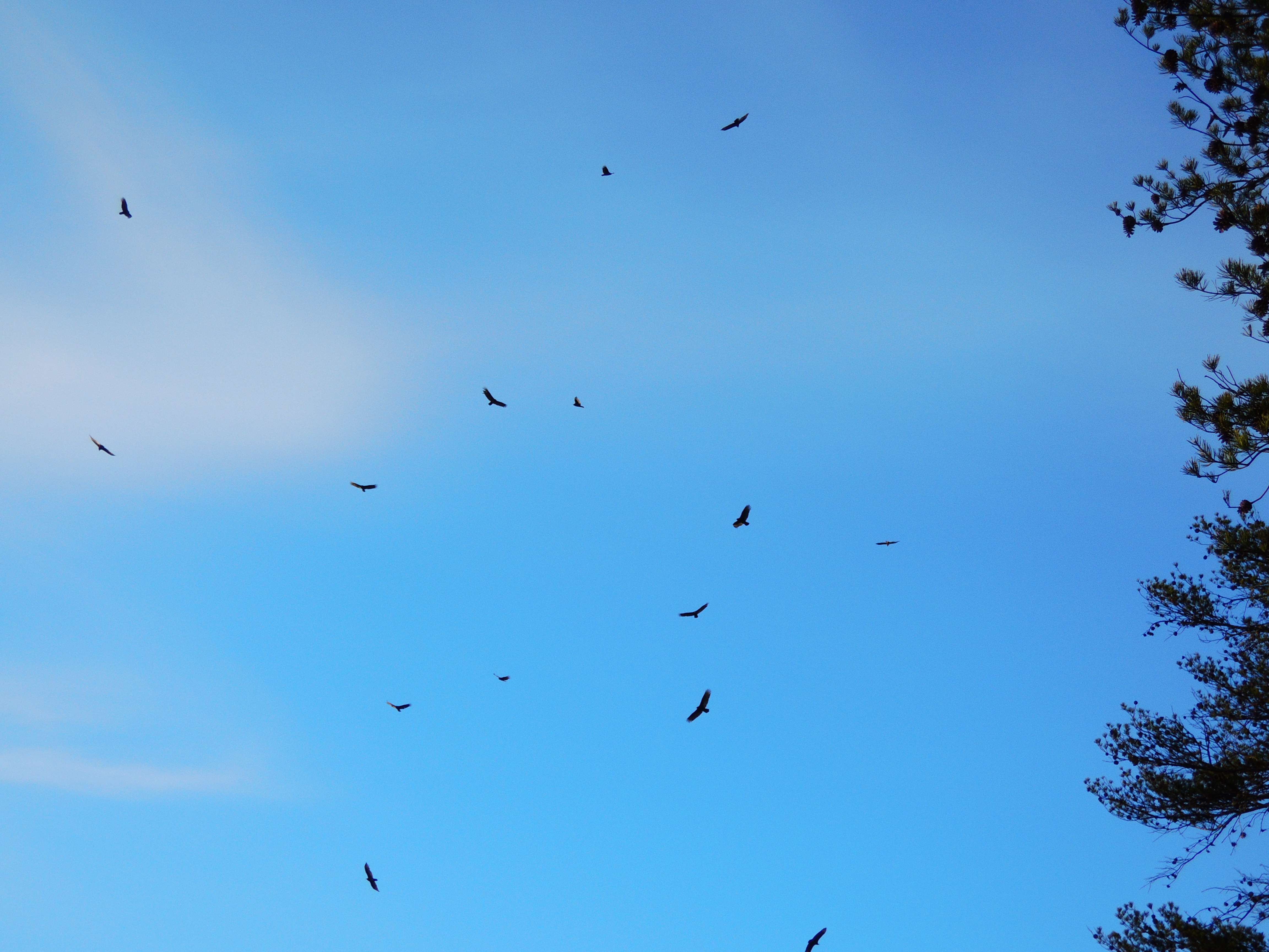 dscn9342a.jpg