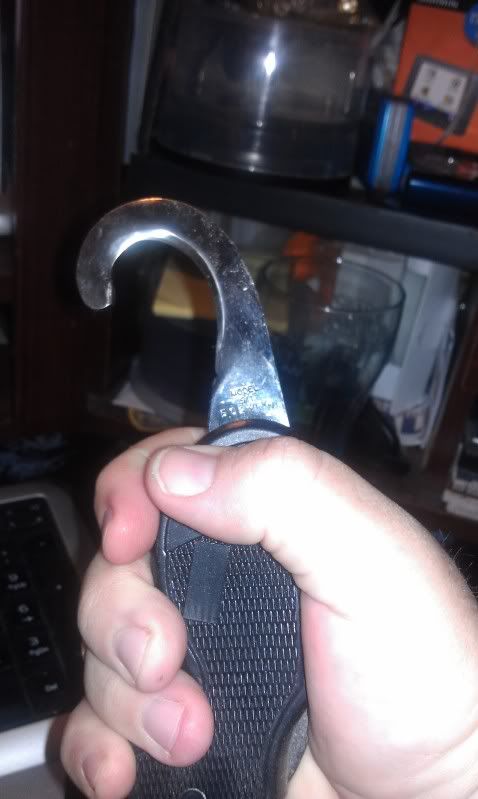 IMAG0519.jpg