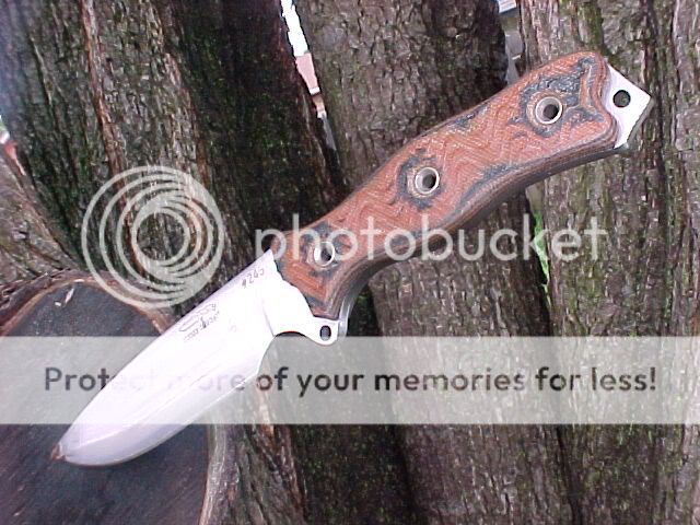 SJinTree.jpg