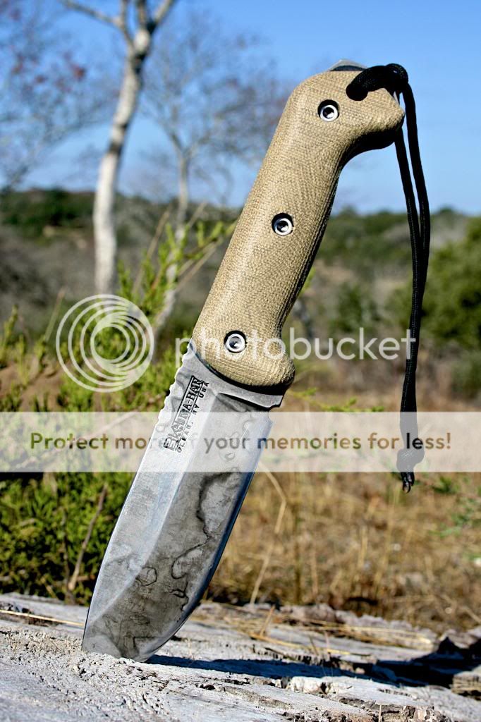 BK2001_zps89b0846f.jpg