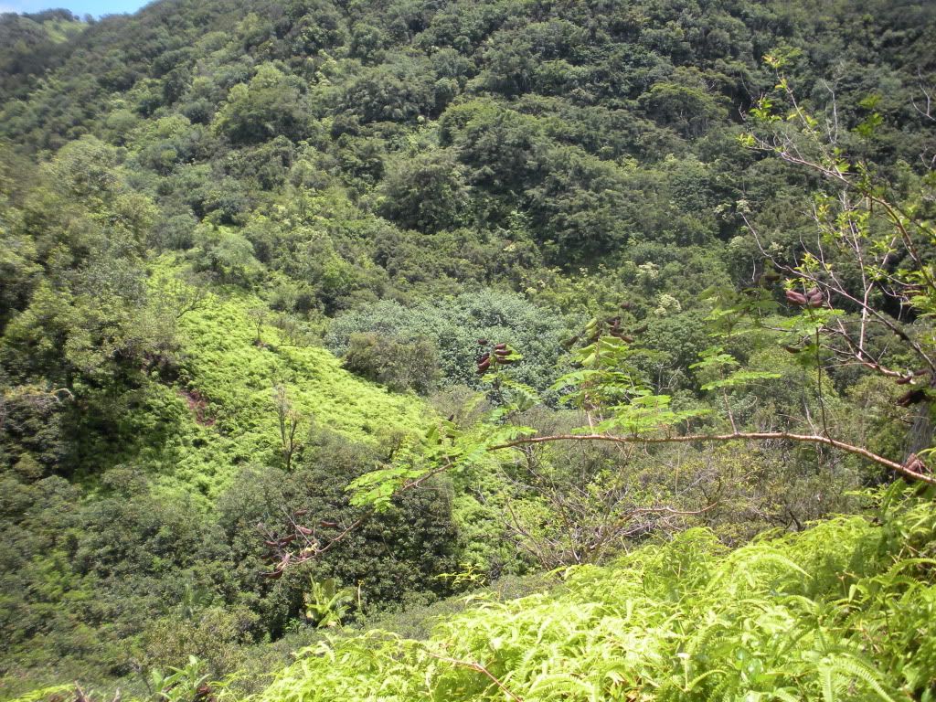 DSCN0942.jpg