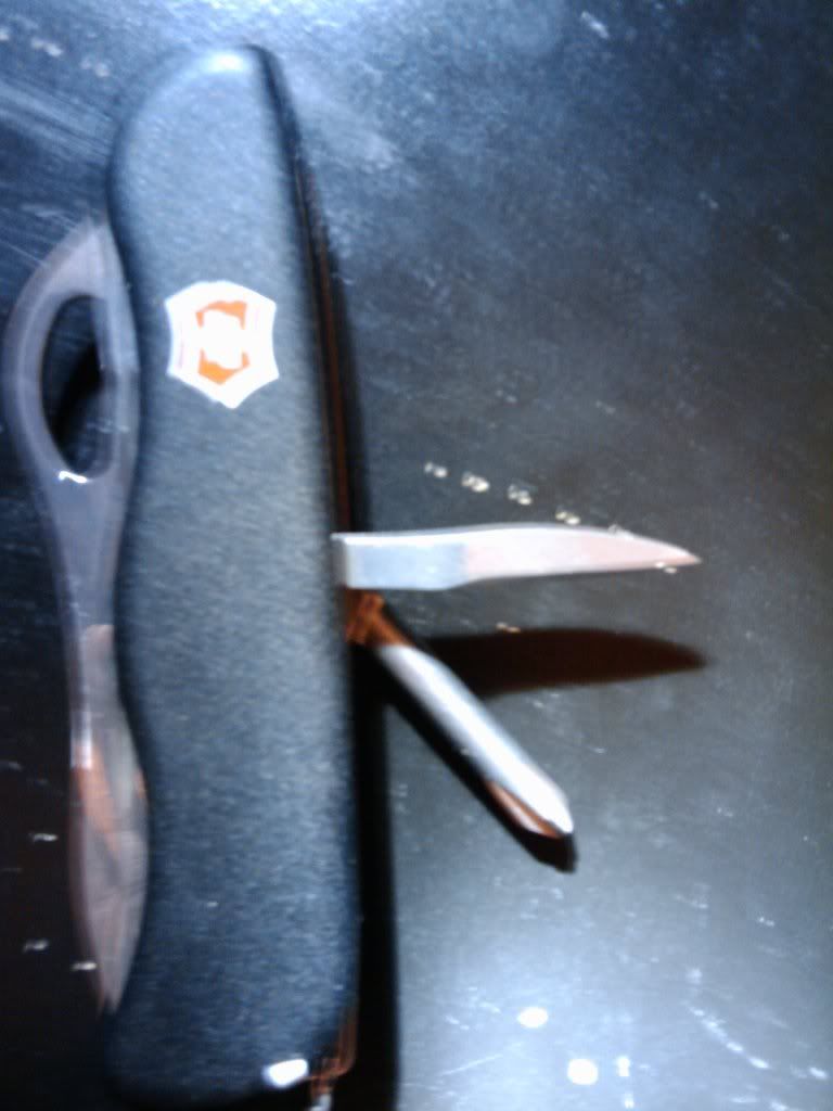 2009-10-29175350.jpg