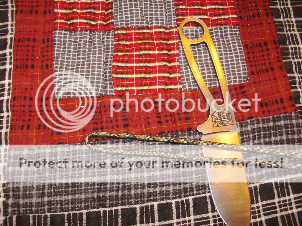 PICT0595.jpg