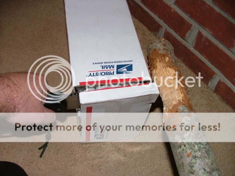 DSCF3485.jpg