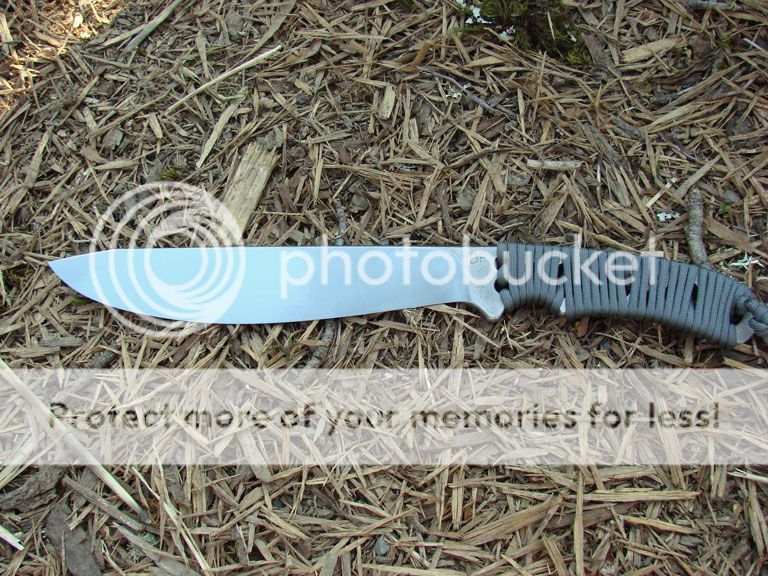 DSC06881.jpg