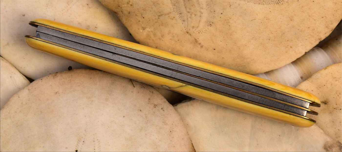 americanshearivorywhittler3.jpg