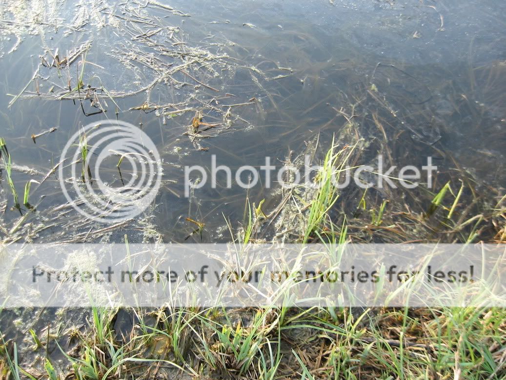 IMG_4248.jpg