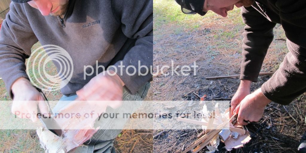Birchferro1.jpg