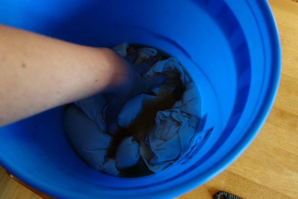 DSC05538_zpszlysa26o.jpg