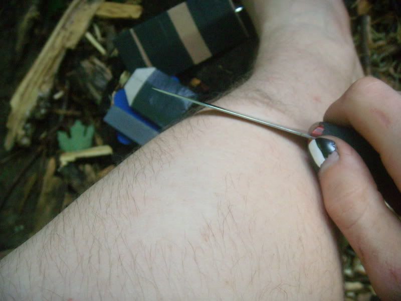 DSCN6561.jpg