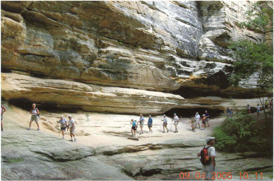sr8.jpg