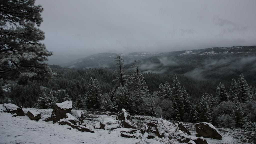 DSC_4387_resize.jpg