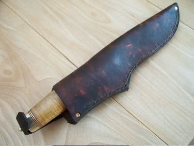 Mora5.jpg