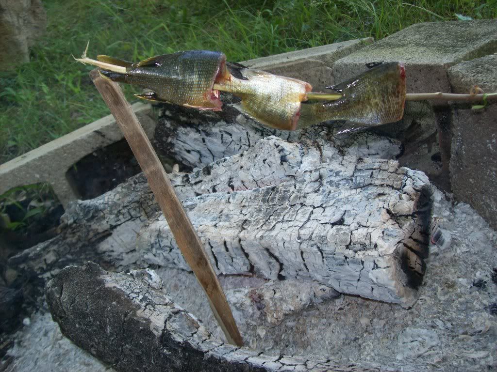 PSK021.jpg