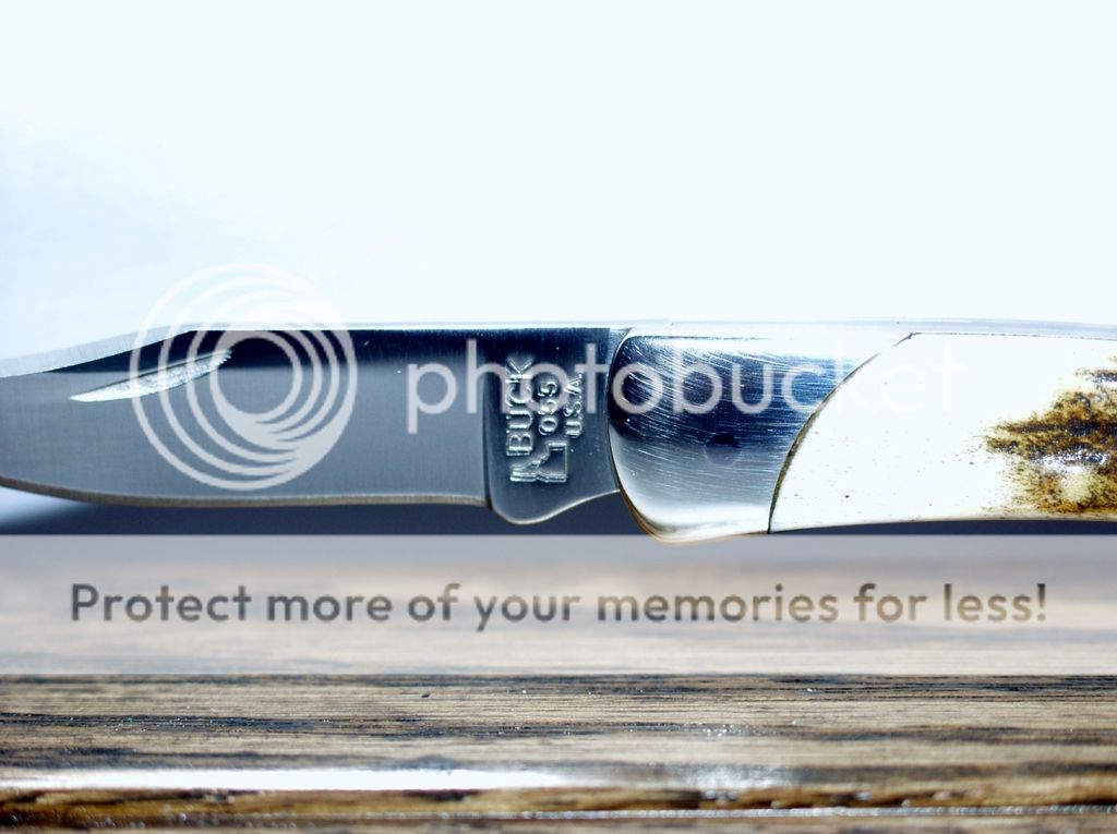 P4262528_zpsvx1e39lo.jpg