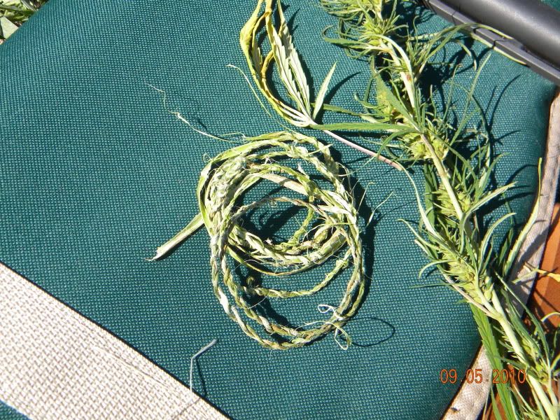 DSCN2812.jpg