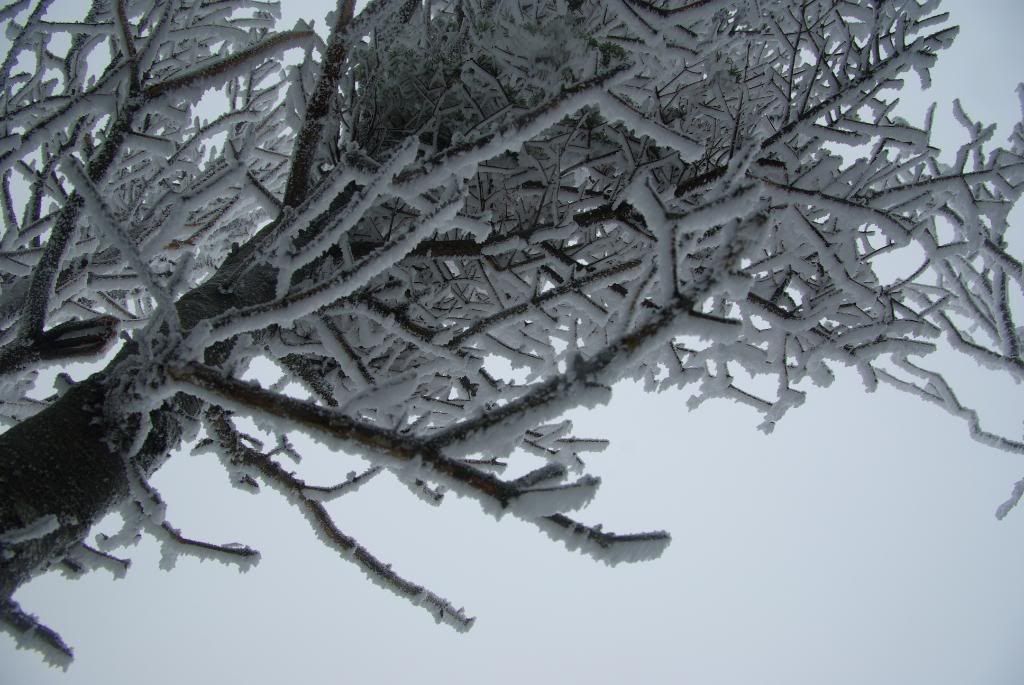 MtLafayette099.jpg