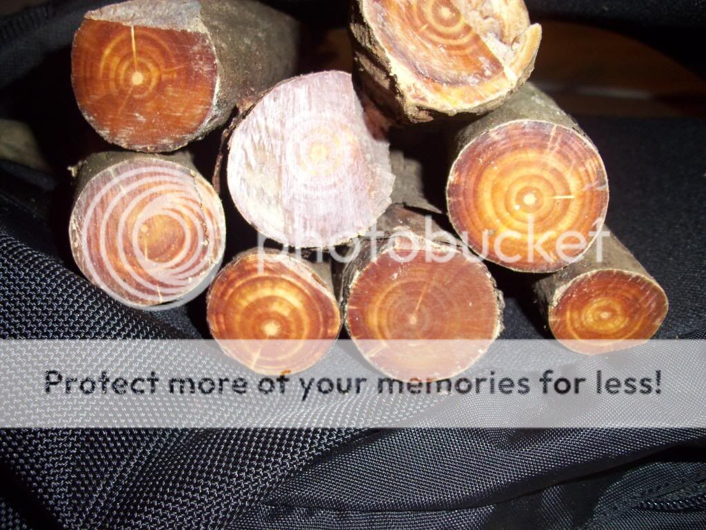 fatwood007.jpg