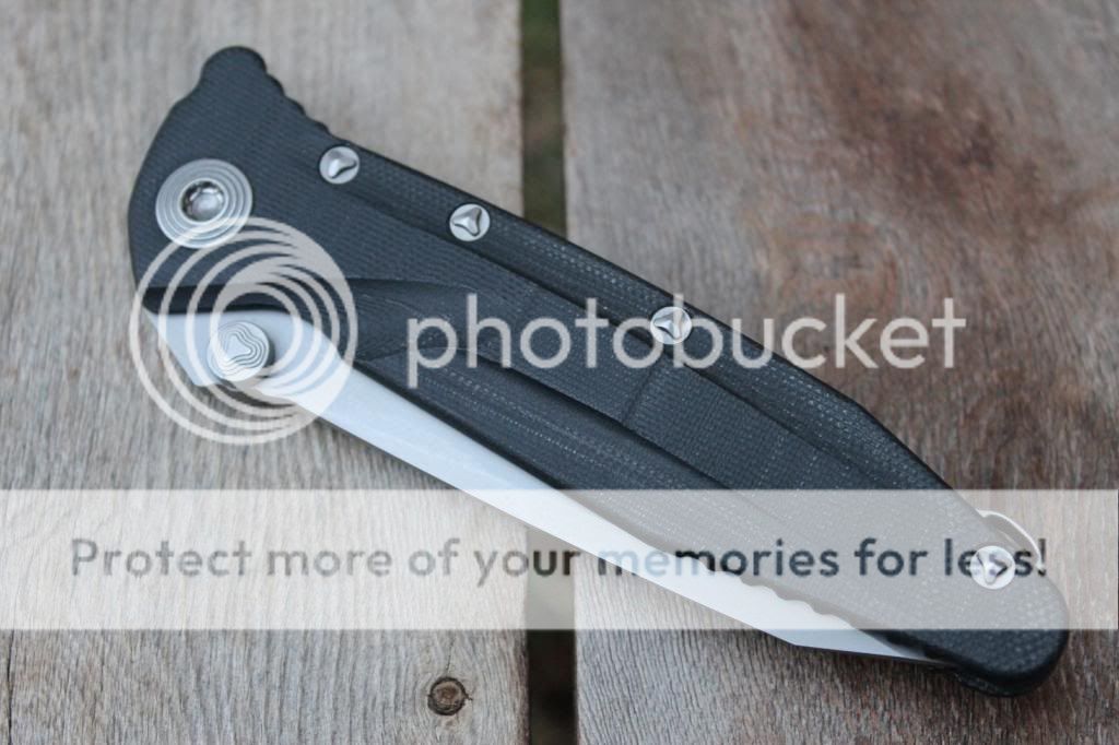 IMG_9864Copy_zpsc5a6038f.jpg