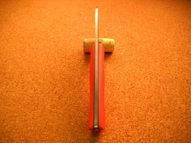 DSCN1856-vi.jpg