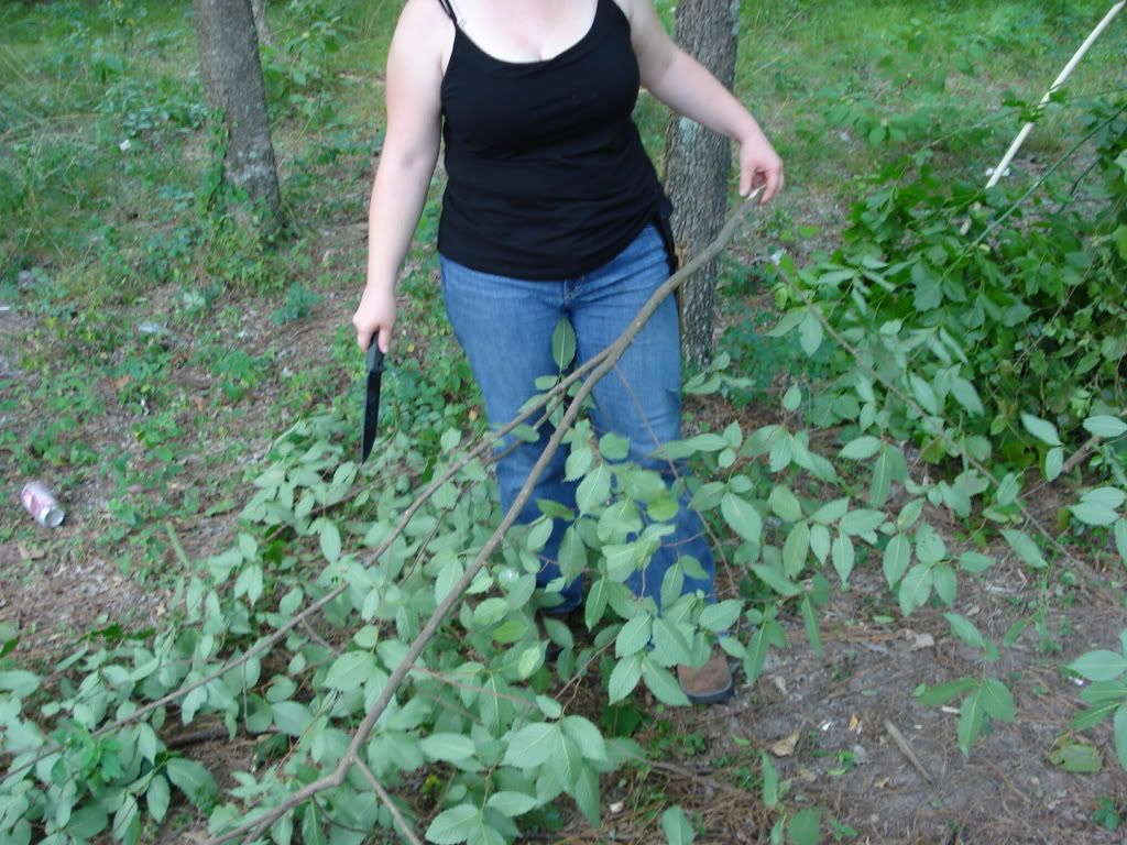 DSC04678.jpg