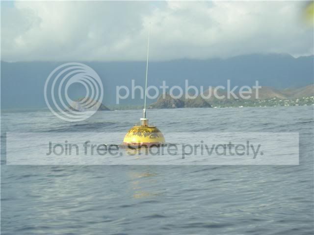 wavebuoy.jpg