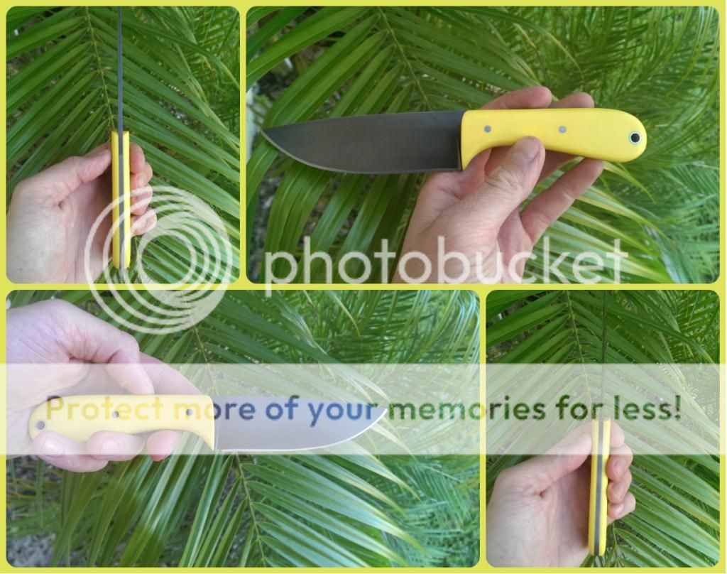 Yellowhunter_zps725ed1bb.jpg~original