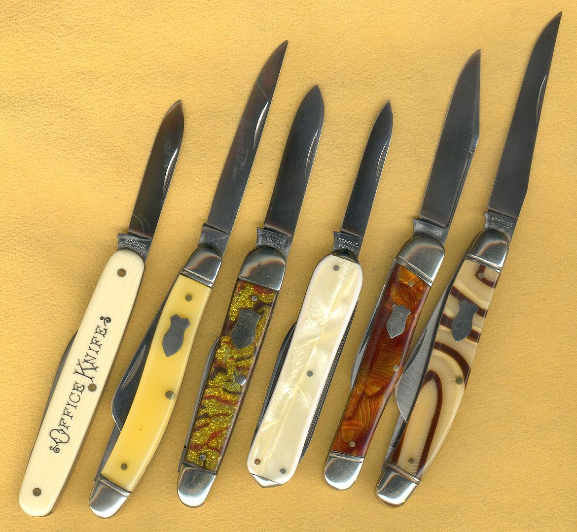 SchradeCells-1.jpg