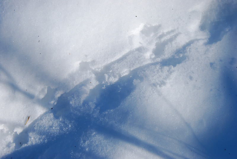 760431550_A6YcR-L.jpg
