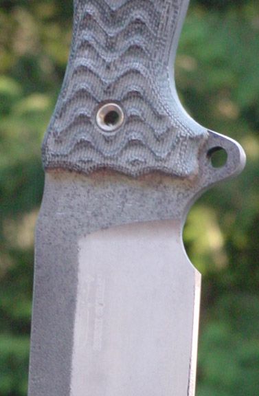 DSC03842.jpg