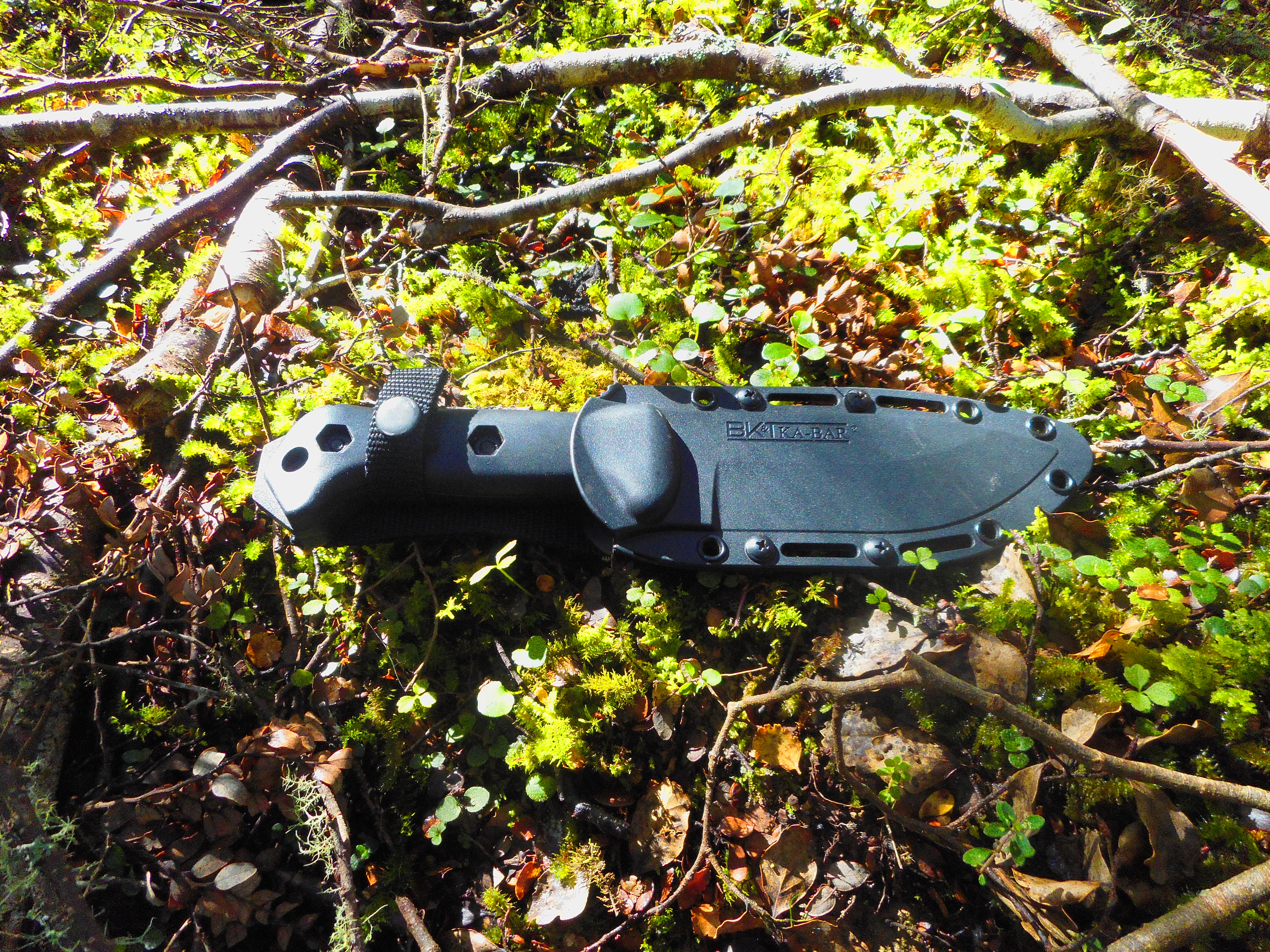 jKa2rCf.jpg