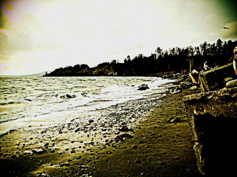 IslandViewWinter2012002.jpg