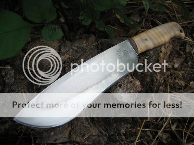 IMG_0388.jpg