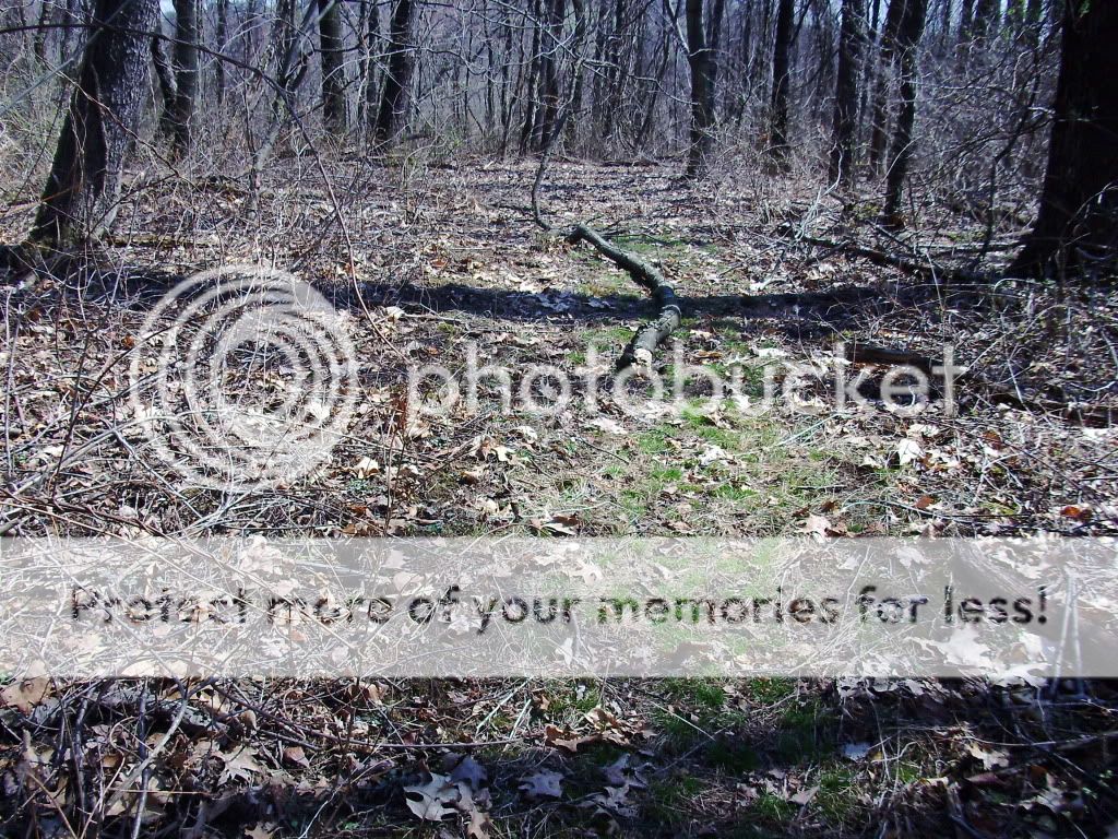 PICT0641.jpg