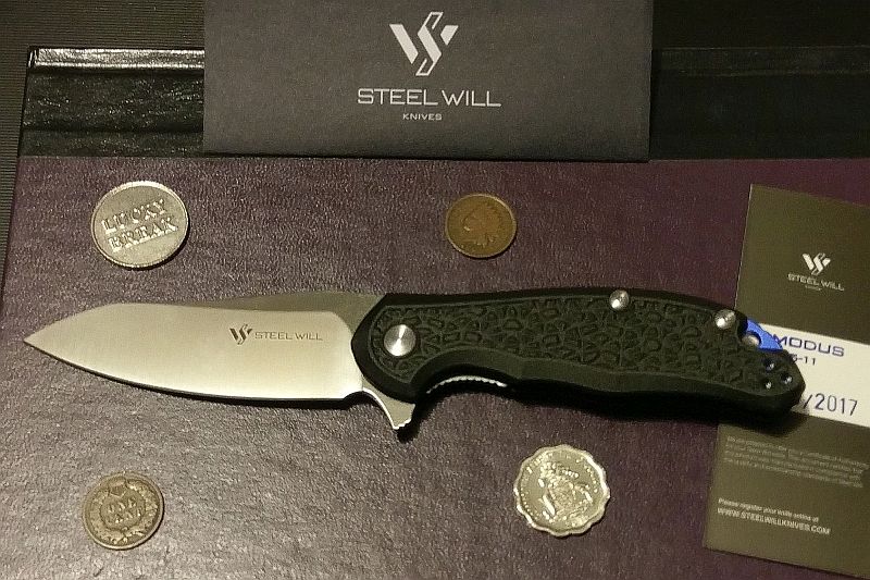 Steel_Will_F25_11d.jpg