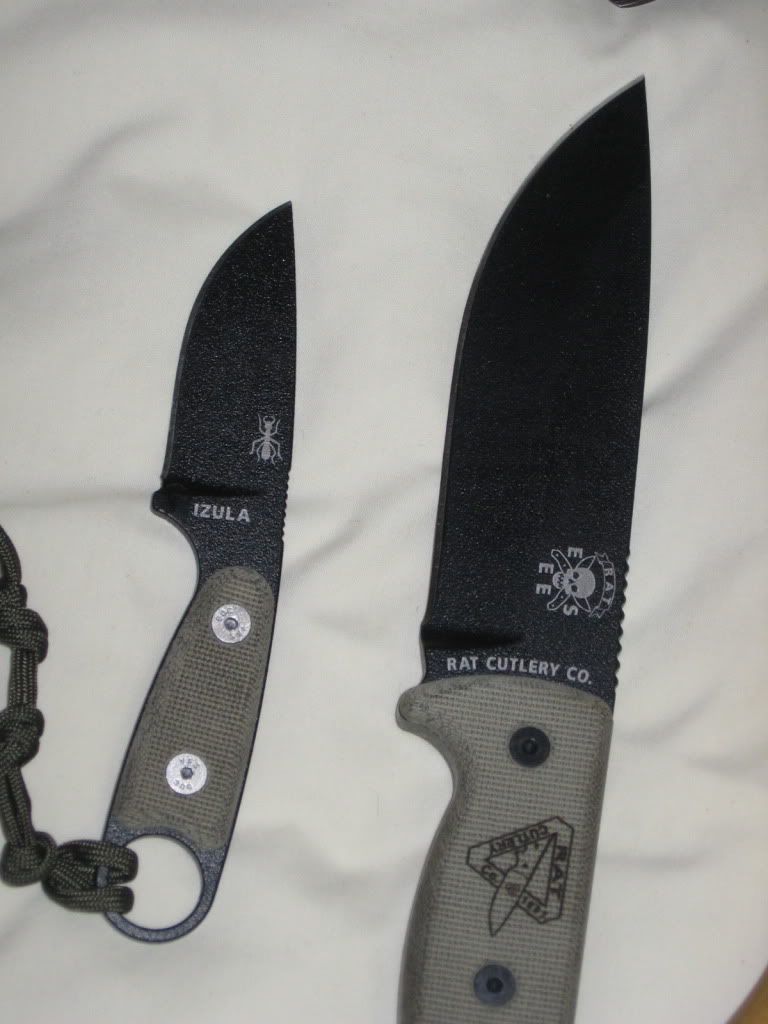 esee2.jpg