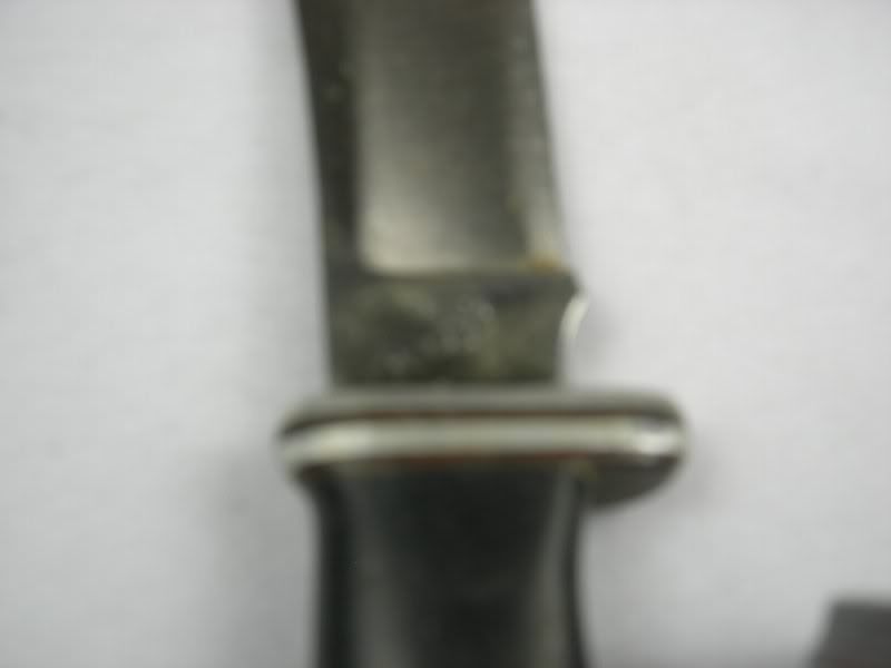 buck2.jpg