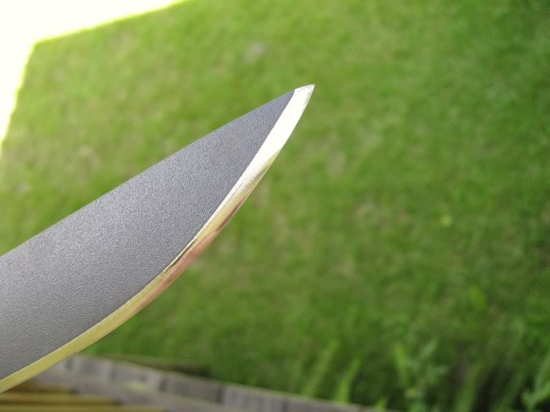 Waki006.jpg