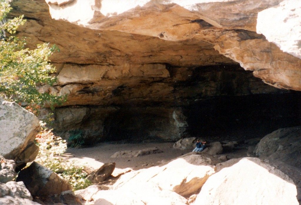 Brown_2294.jpg