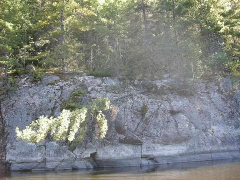 DSCN1541.jpg